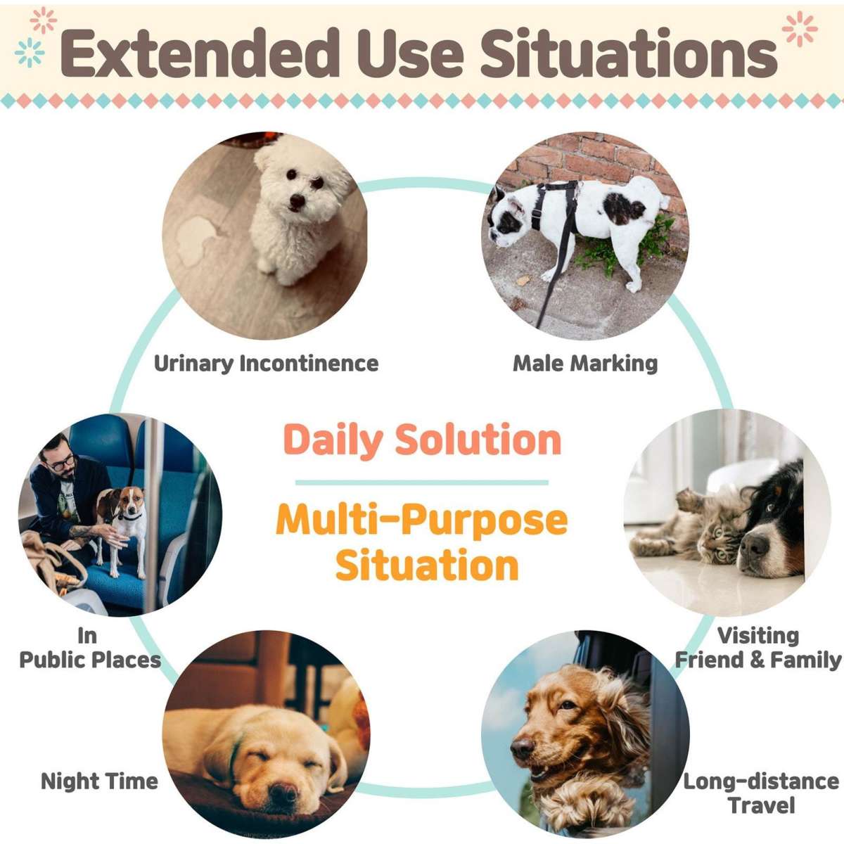 PawPang L Dog Wrap Reusable Male + 10 Ct M Diaper Booster Pads