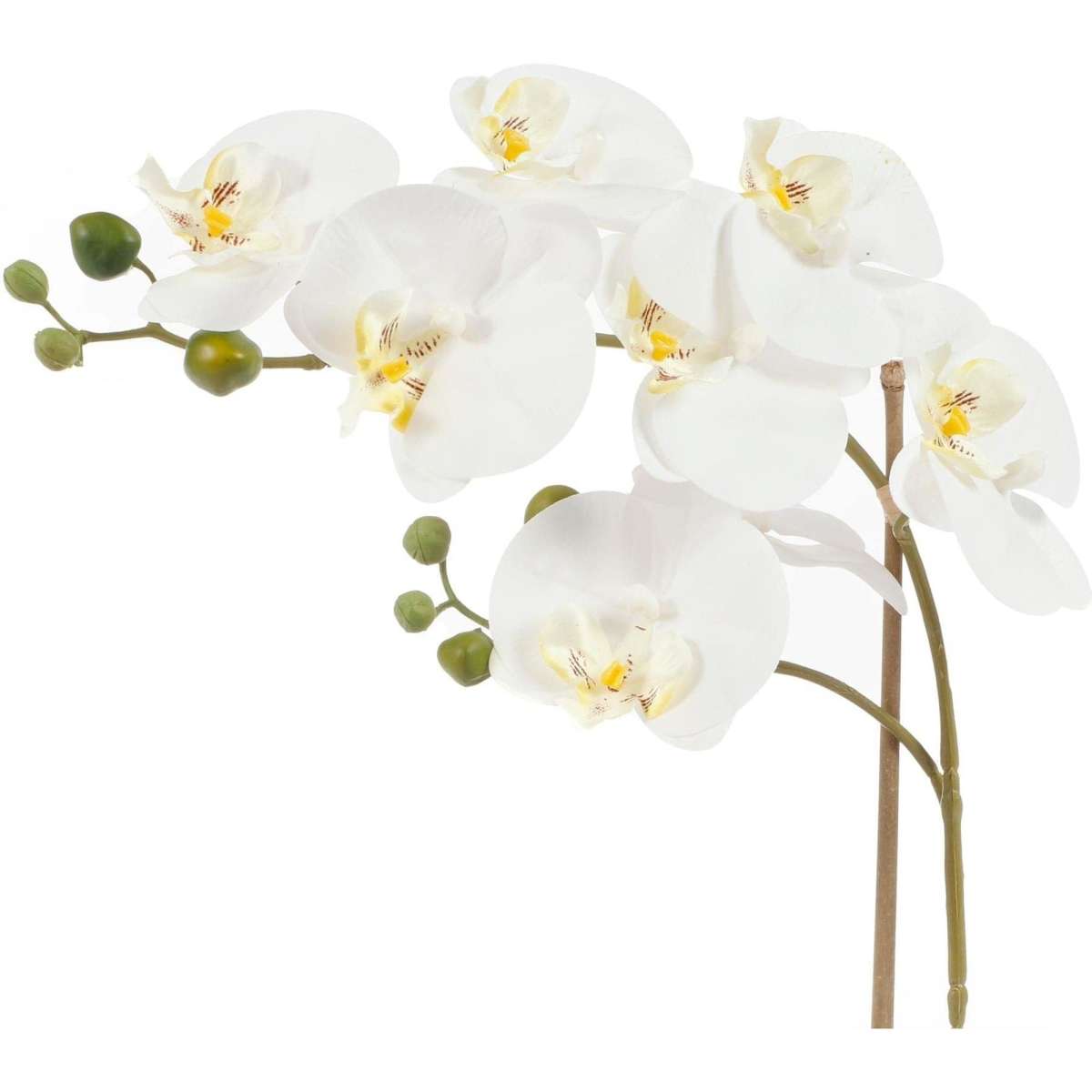 Cooper & Co. 53cm Orchid Potted Artificial Plant White 