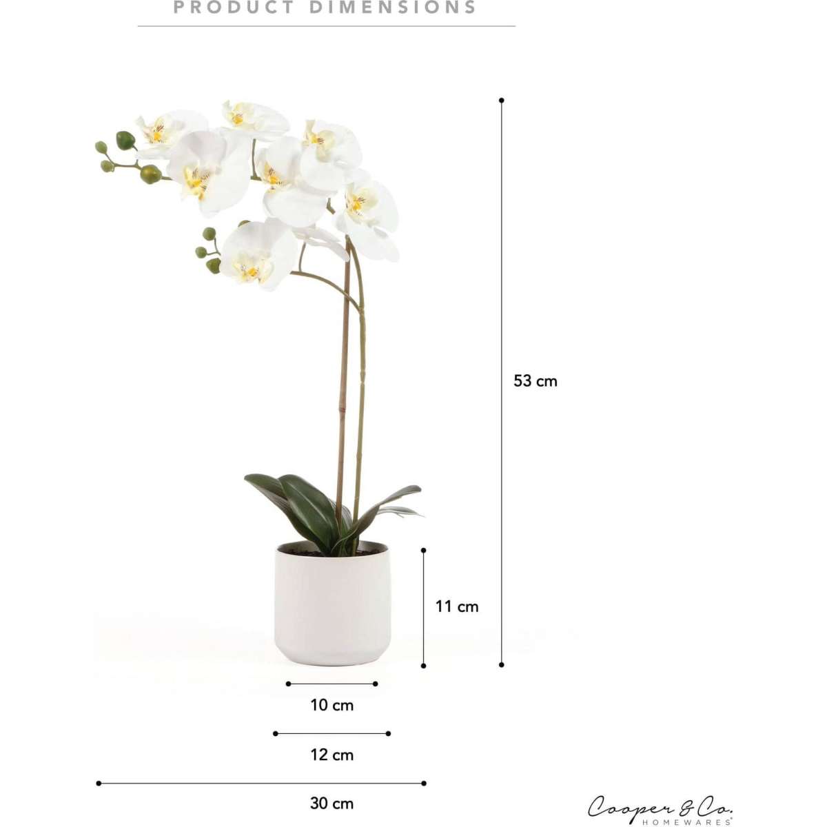 Cooper & Co. 53cm Orchid Potted Artificial Plant White Woolworths