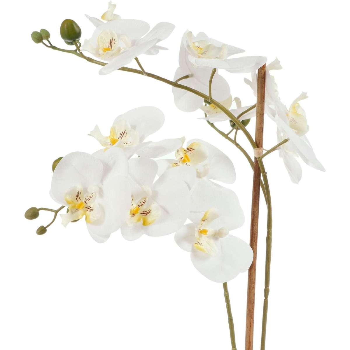 Cooper & Co. 61cm Orchid Potted Artificial Plant White Woolworths