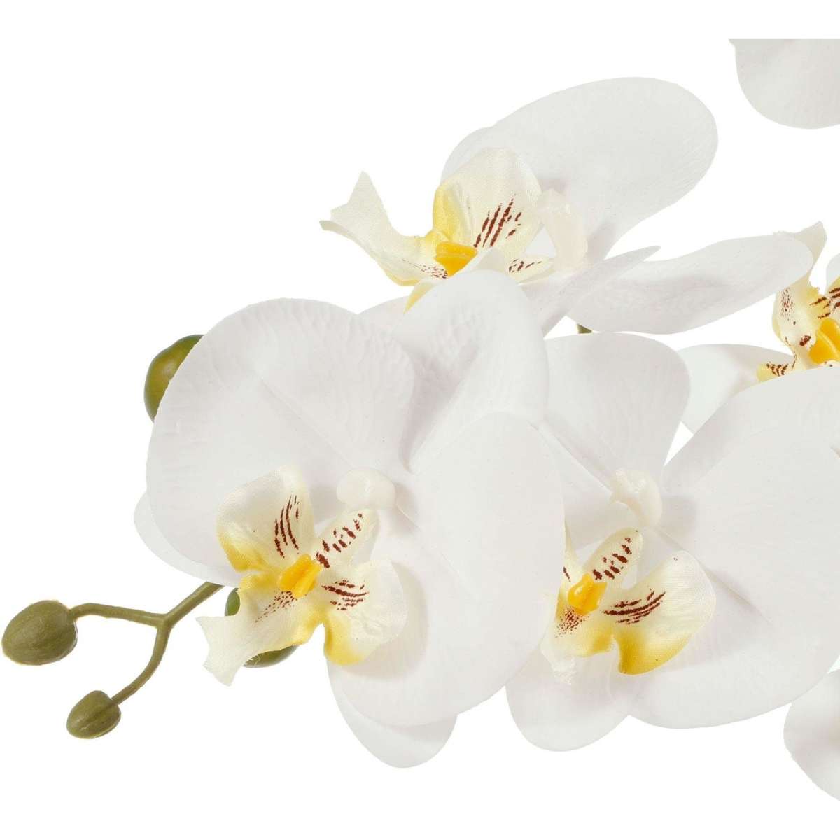 Cooper & Co. 61cm Orchid Potted Artificial Plant White Woolworths