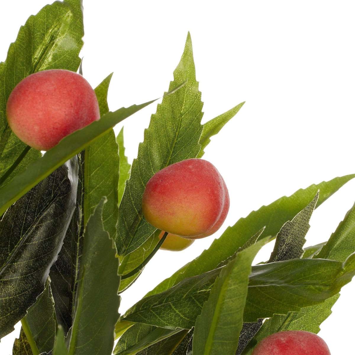 Cooper & Co. 50cm Artificial Peach Tree Woolworths