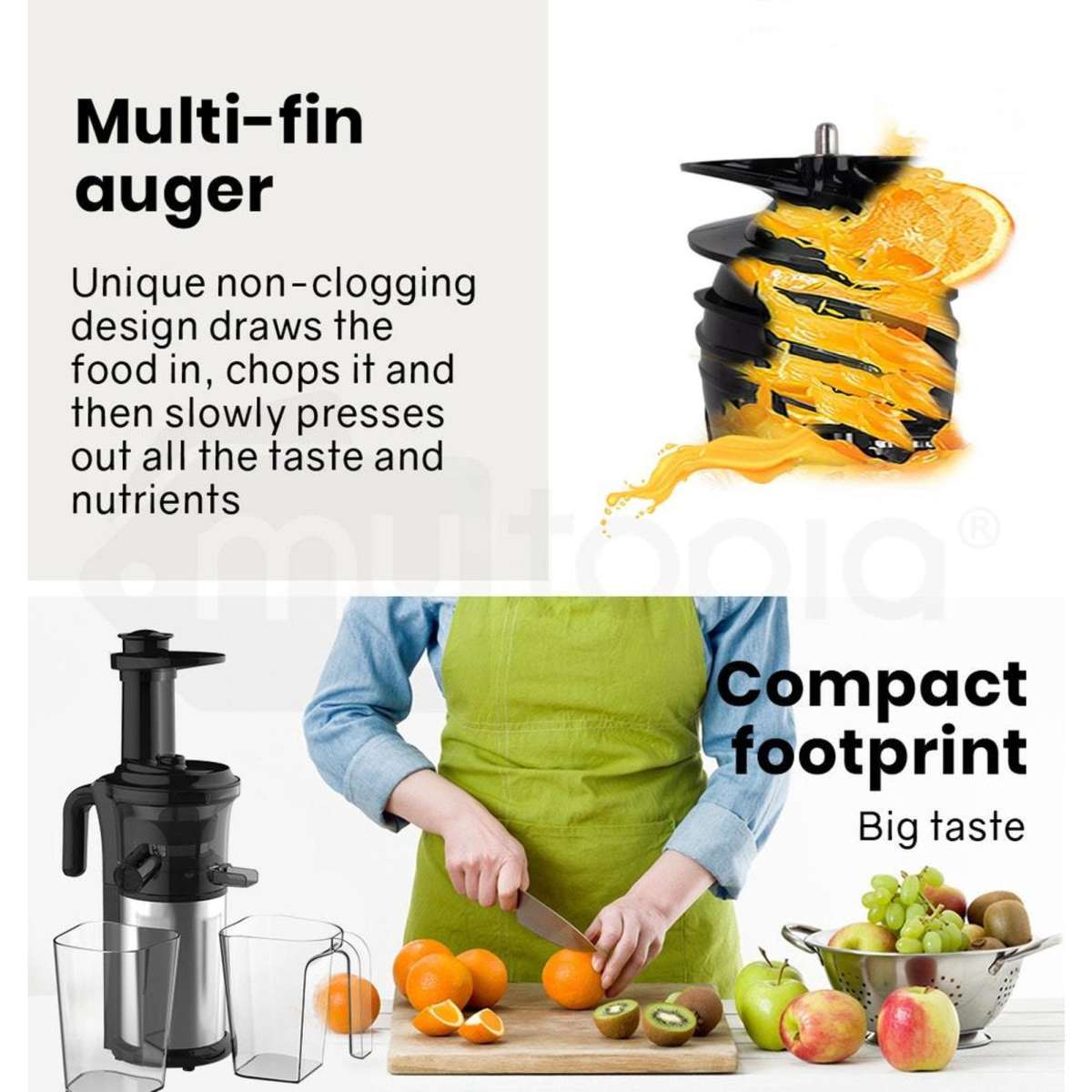 Eurochef Cold Press Slow Juicer with Sorbet function, Whole Fruit Chute