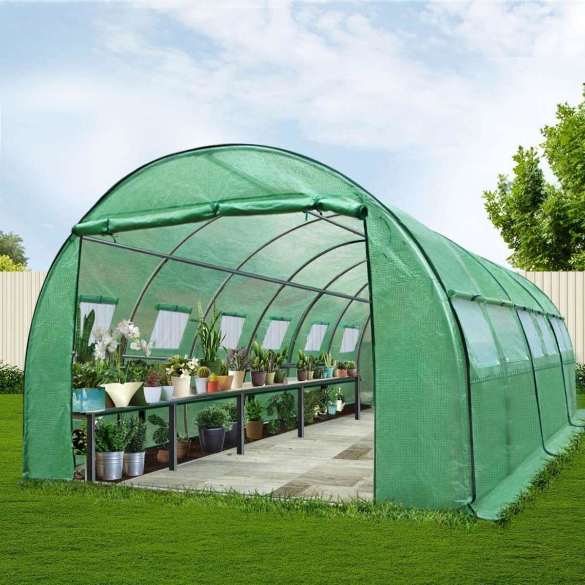 greenfingers-greenhouse-6x3x2m-walk-in-green-house-tunnel-plant-garden