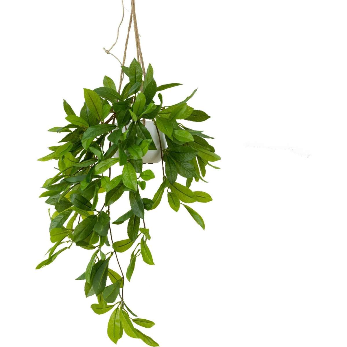 Glamorous Fusion Laurel Leaf Bush In Hanging Planter - Artificial ...