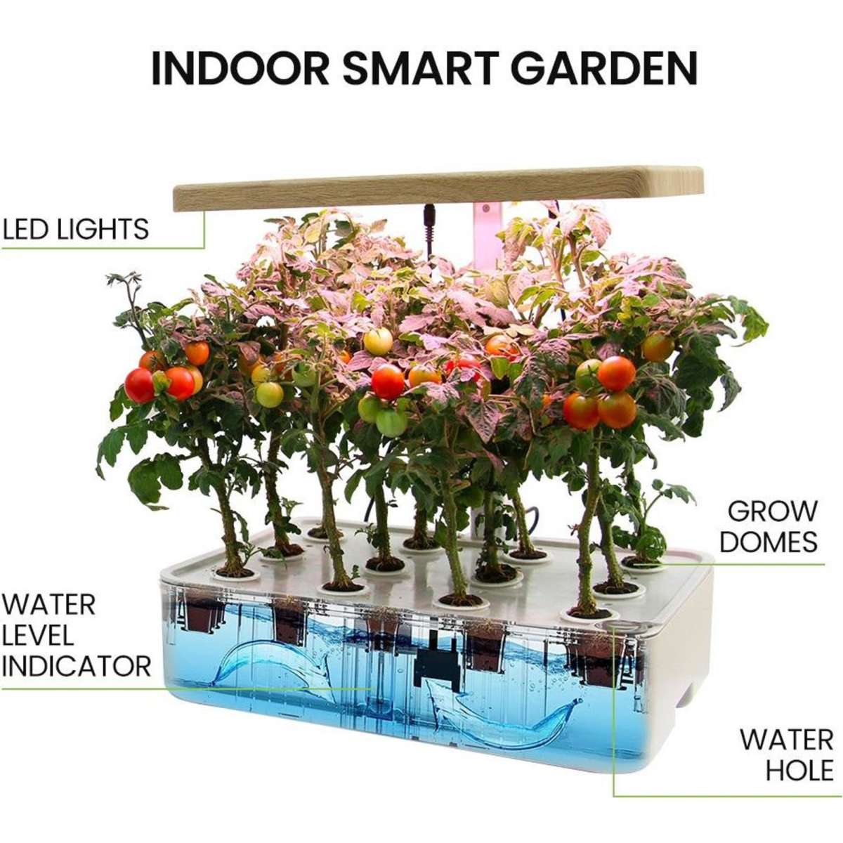 PlantCraft 12 Pod Indoor Hydroponic Growing System, With Water Level ...