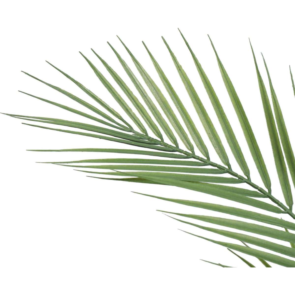 Designer Plants Artificial Phoenix Palm Plant 80cm | Woolworths