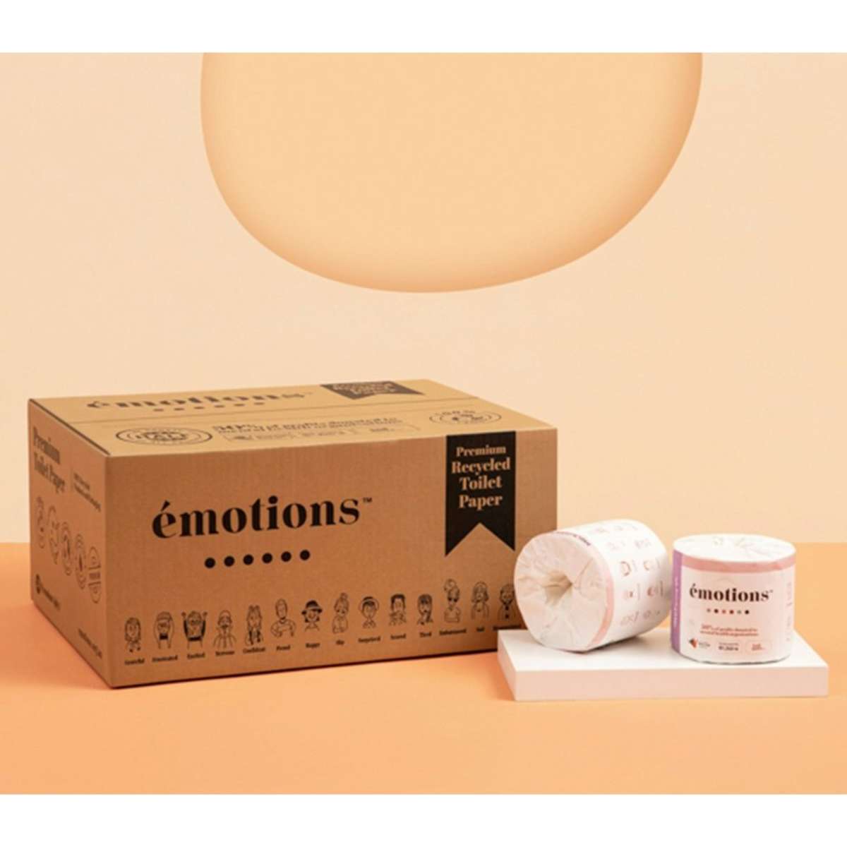 Emotions Premium 100 Recycled Toilet Paper 4ply 24PK Woolworths