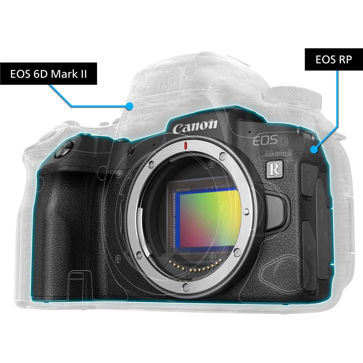 Canon EOS RP Body | Woolworths