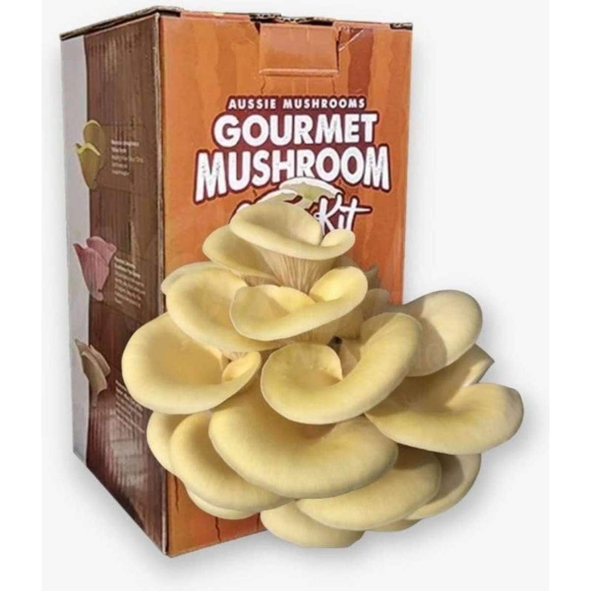 Aussie Mushrooms Yellow Oyster Aussie Mushroom Kit Woolworths