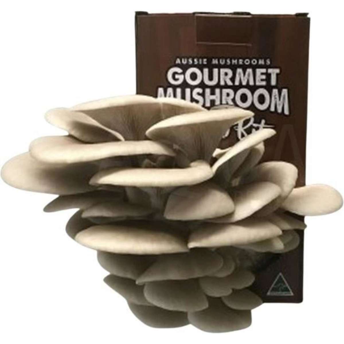 Aussie Mushrooms Tan Oyster Aussie Mushroom Kit Woolworths