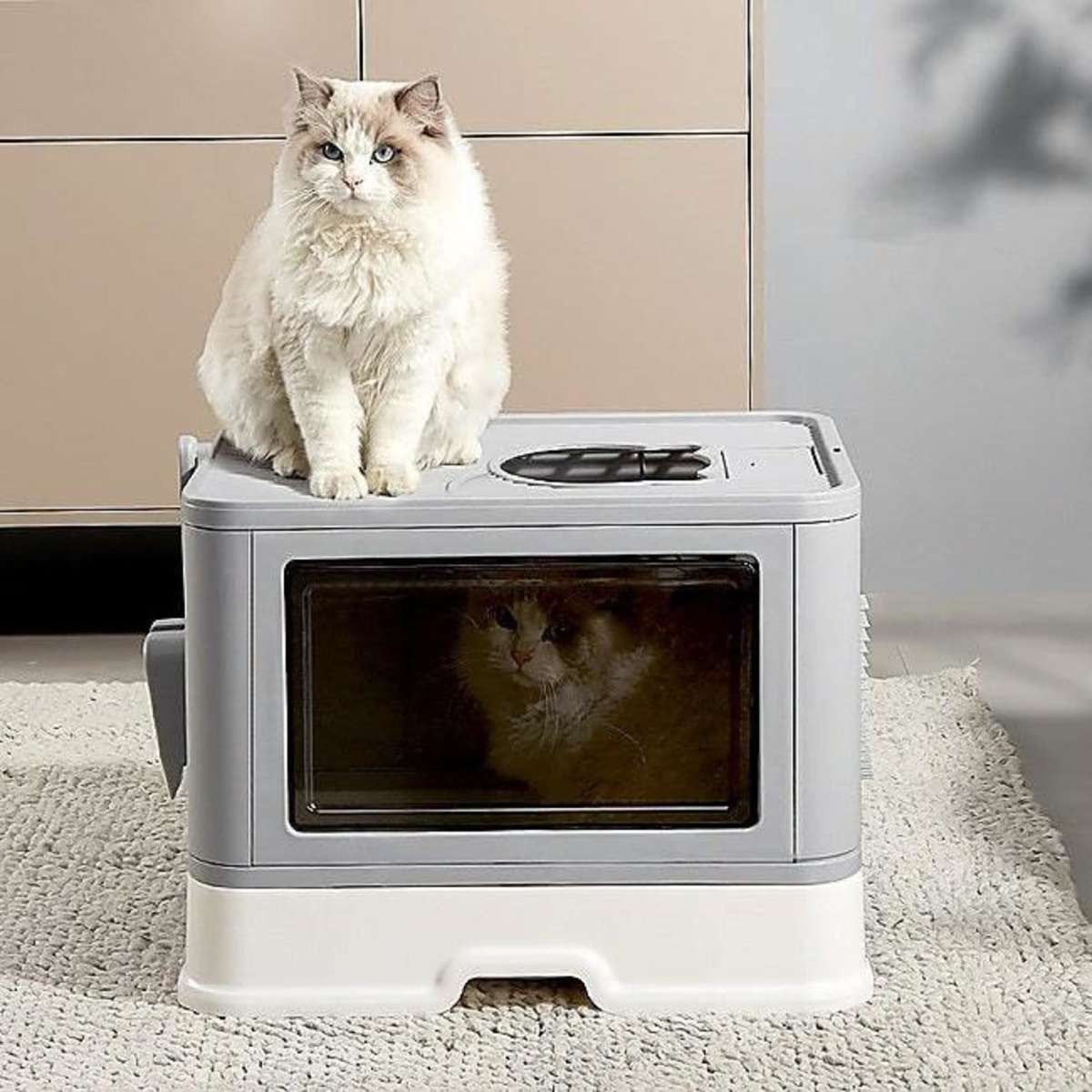 Randy & Travis Machinery Jumbo Hooded Cat Litter Box Tray Pet Kitty