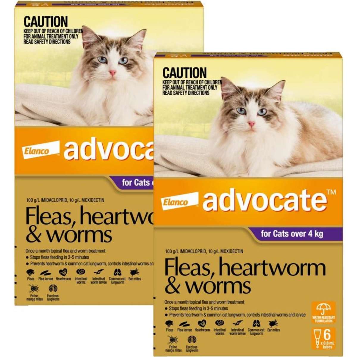 Advocate for Cats over 4kg (Purple) 12 Pack | Woolworths