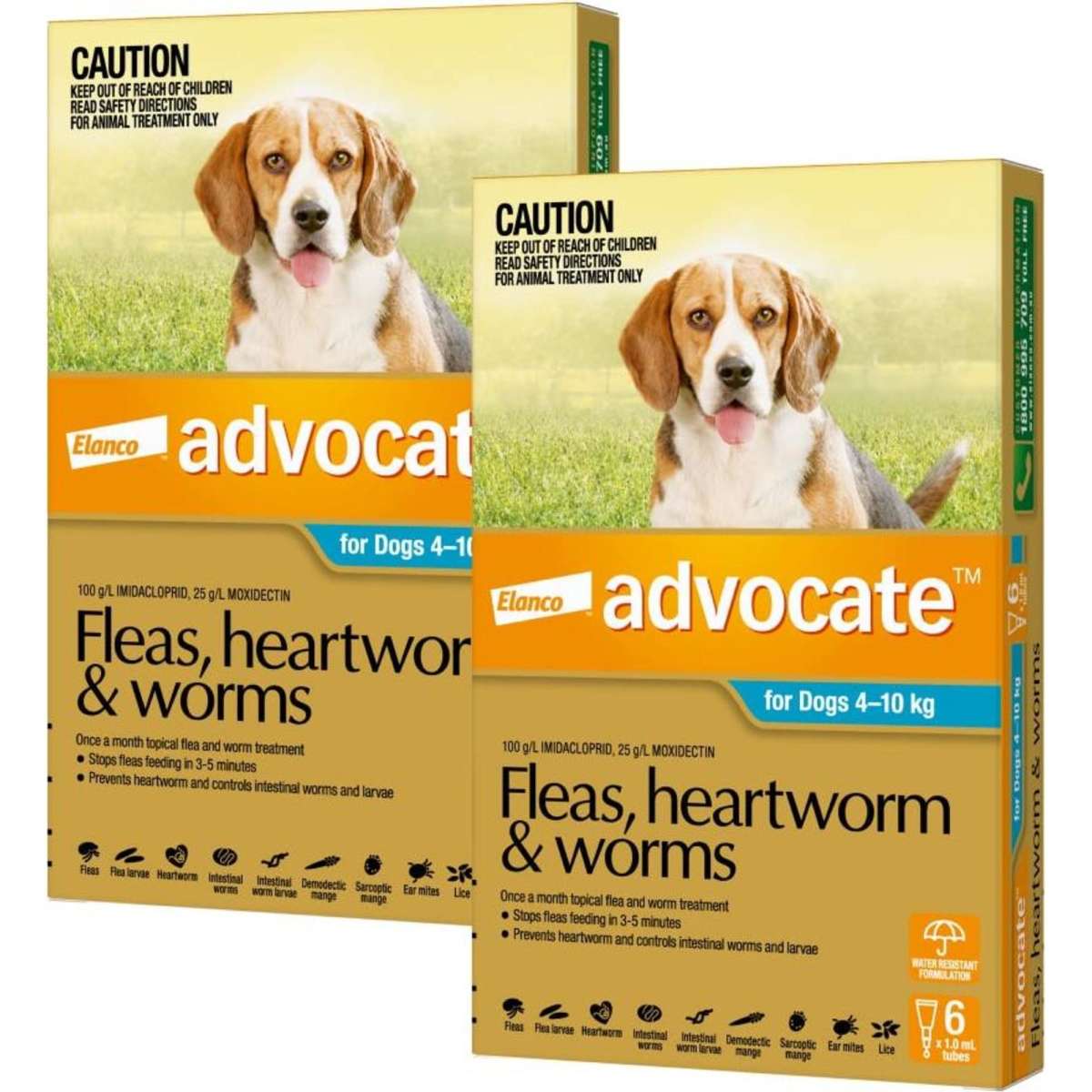 Advocate for Medium Dogs 4-10kg (Teal) 12 Pack | Woolworths