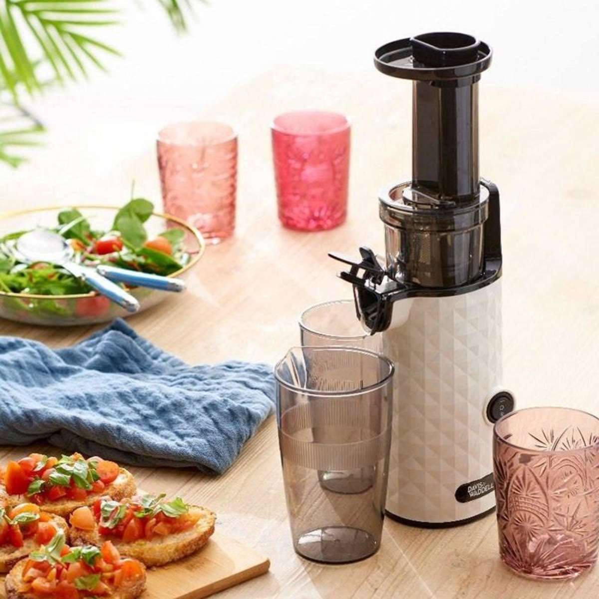 Davis & Waddell Electric Compact Slow Juicer Woolworths