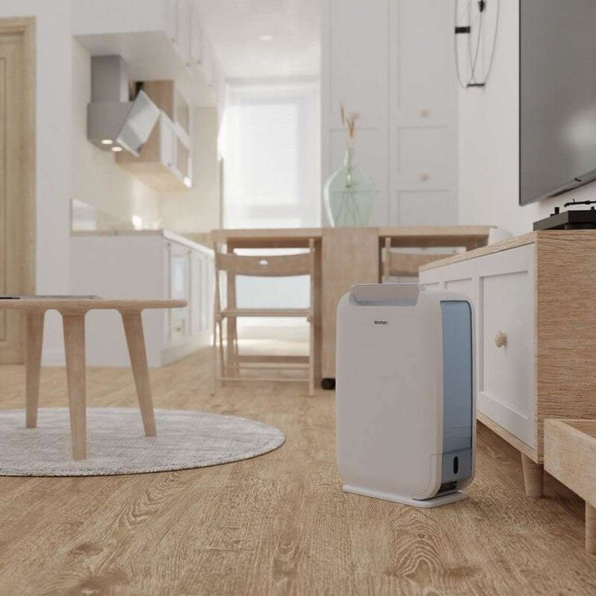 Ionmax ION610 6L Desiccant Dehumidifier Woolworths