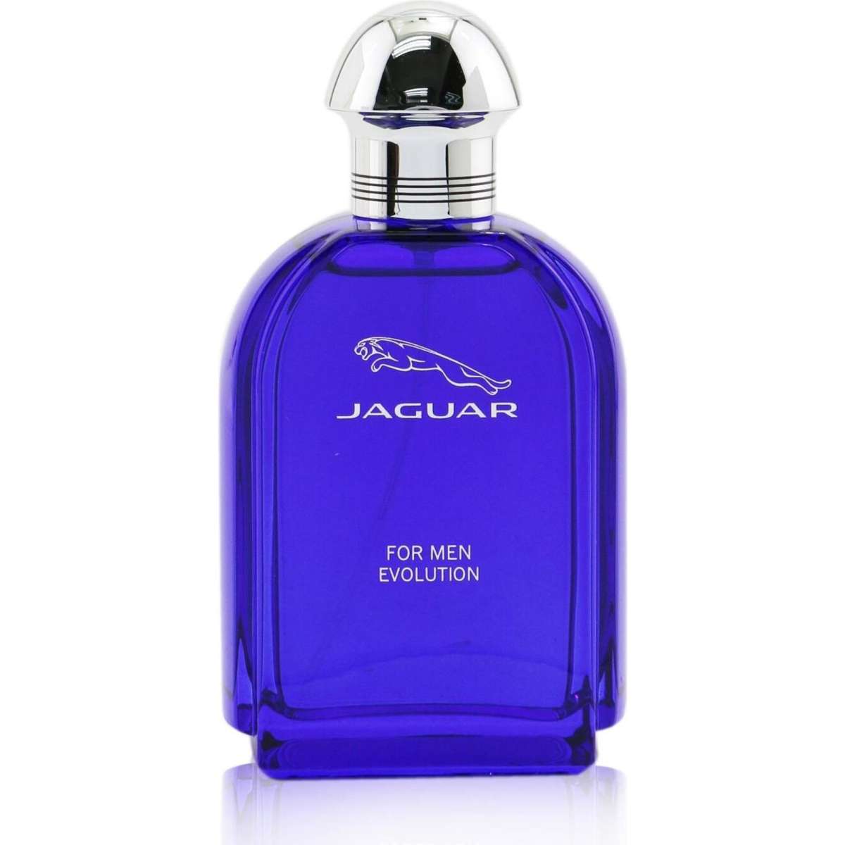 Jaguar Evolution Eau De Toilette Spray 100ml/3.4oz | Woolworths