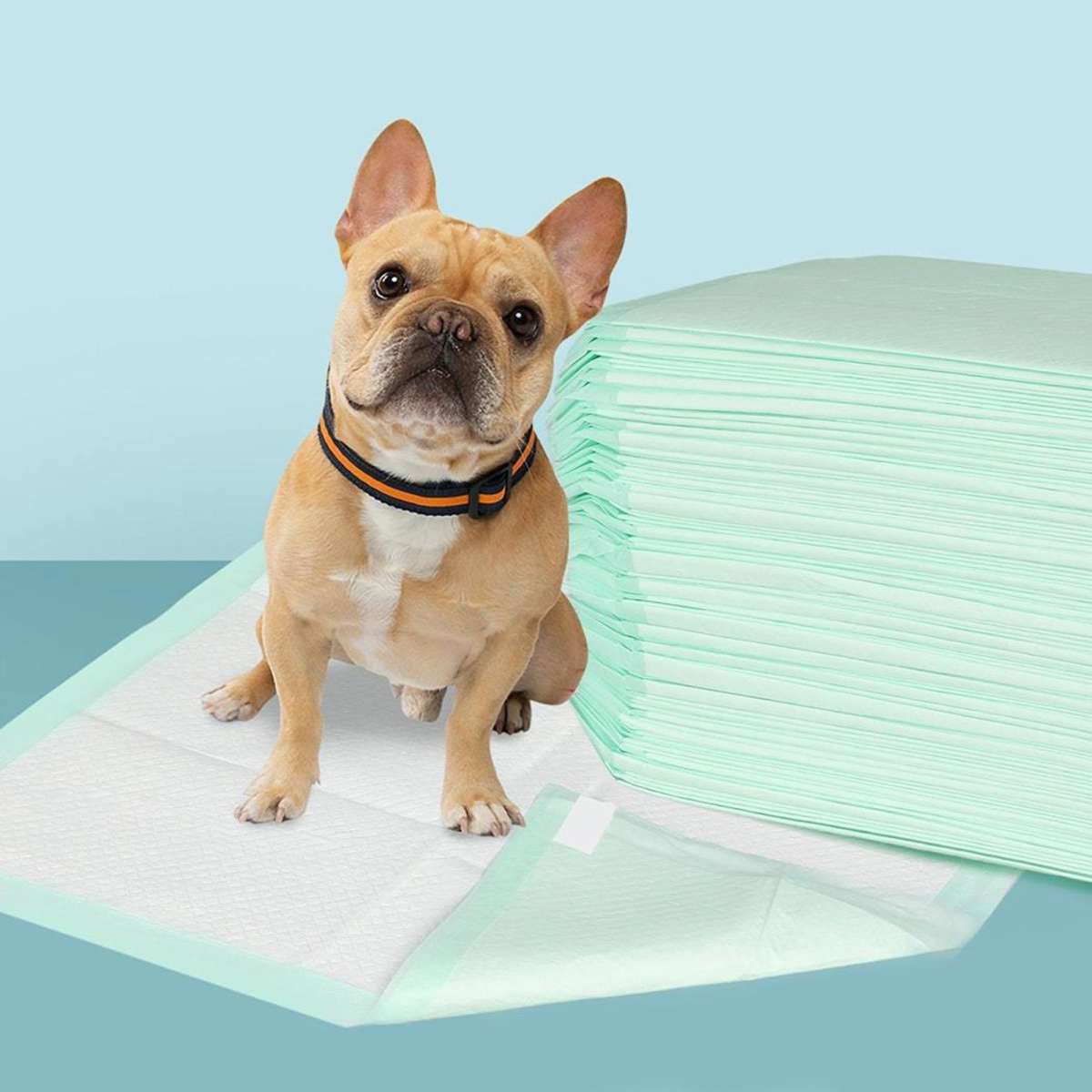 PaWz Pet Dog Cat Puppy Training Pads Toilet Potty Pee Mat Meadow