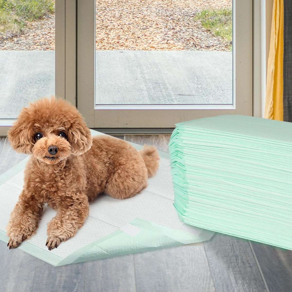 PaWz Pet Dog Cat Puppy Training Pads Toilet Potty Pee Mat Meadow 60x60cm 400pcs Woolworths