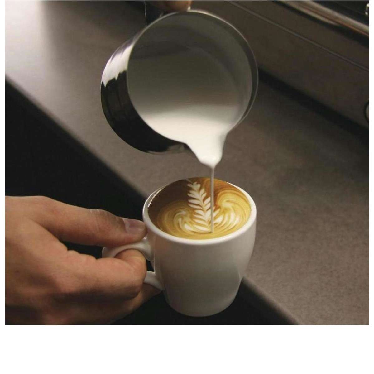 Caterchef 1.5 Litre Stainless Steel Milk Frothing Jug Woolworths