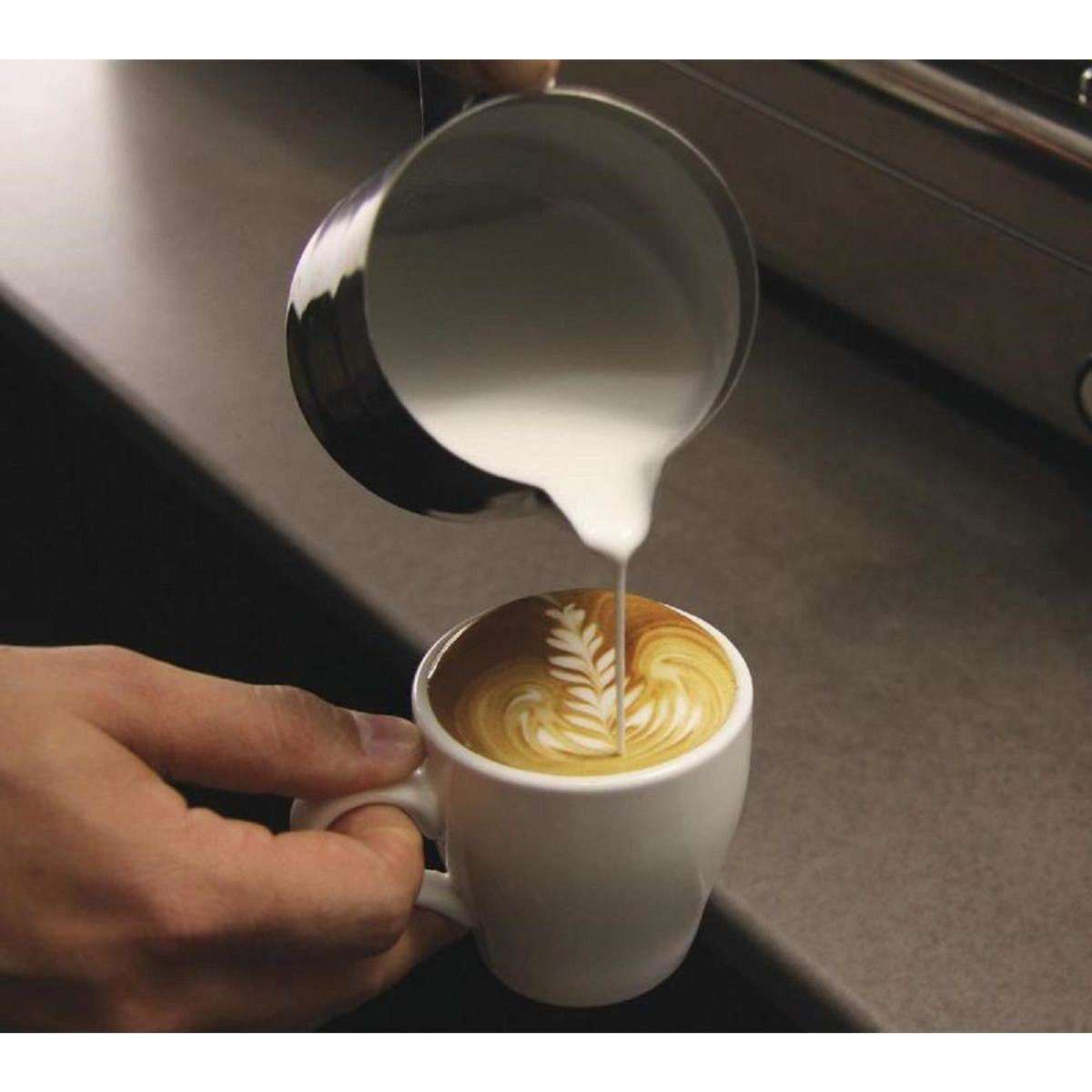 Caterchef 600ml Stainless Steel Milk Frothing Jug Woolworths