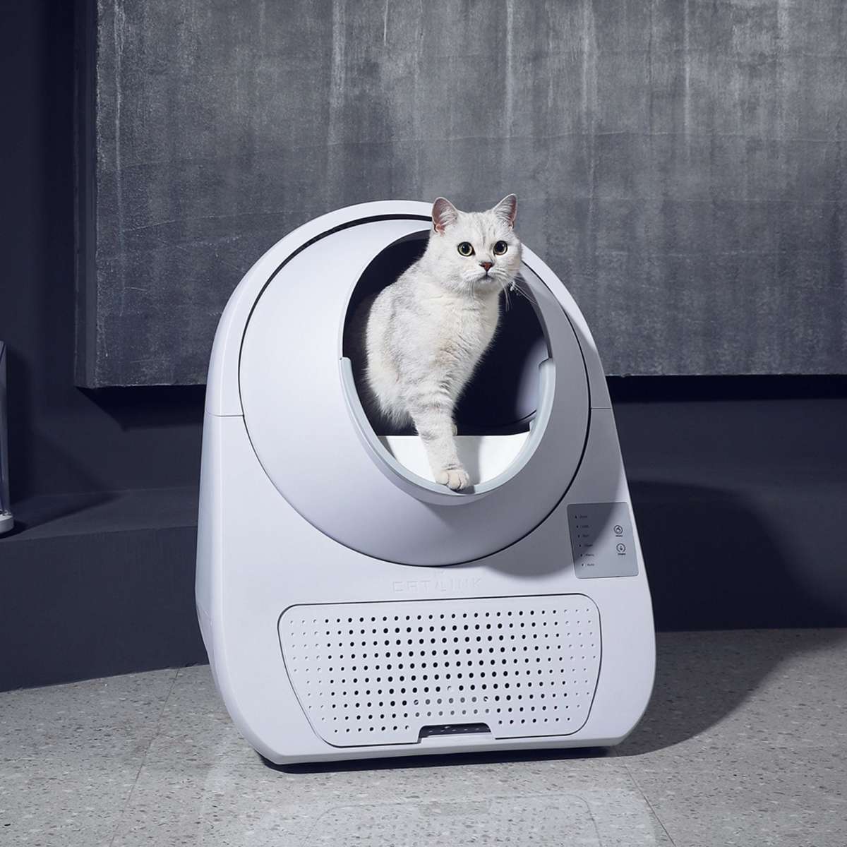 Catlink Scooper Smart Self-Clean Cat Litter Box - Young | Woolworths