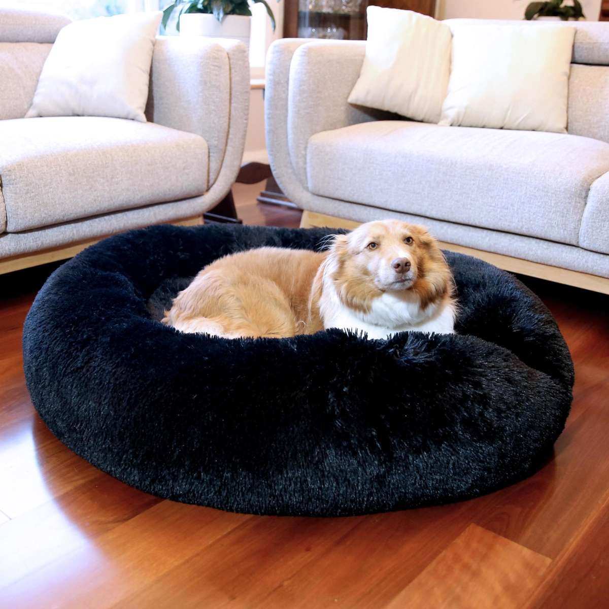 Paw Paws Faux Fur Pet Donut Bed Black Large 100cm x 20cm Woolworths