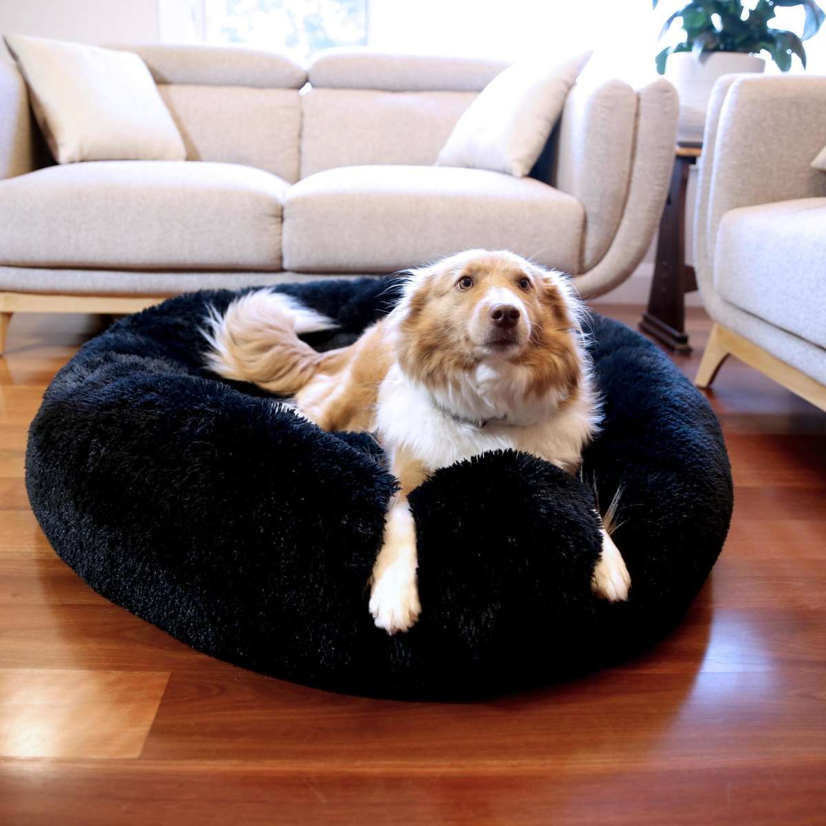 Paw Paws Faux Fur Pet Donut Bed Black Large 100cm x 20cm Woolworths