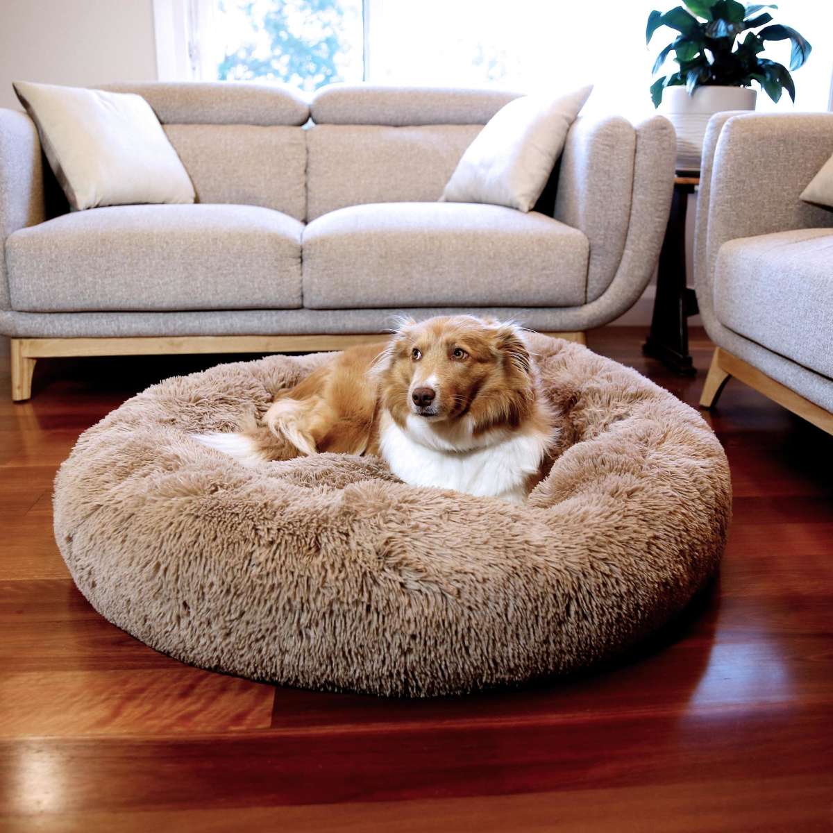 Paw Paws Faux Fur Pet Donut Bed Tan Large 100cm x 20cm Woolworths