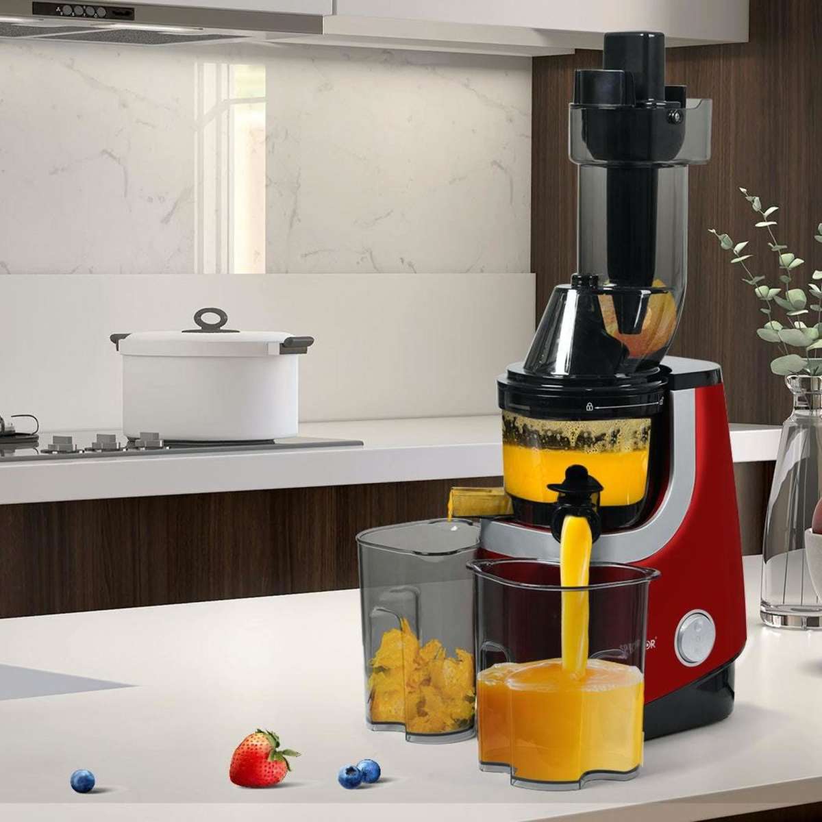 Spector Cold Press Slow Juicer Whole Fruit Juice Extractor Vegetable