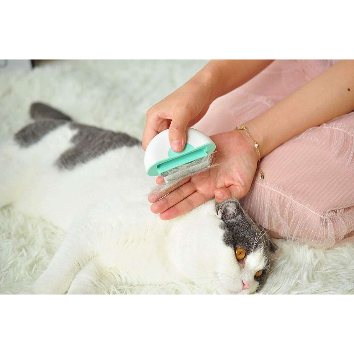 Pakeway Tomcat Gemin Pet Comb Aqua Woolworths