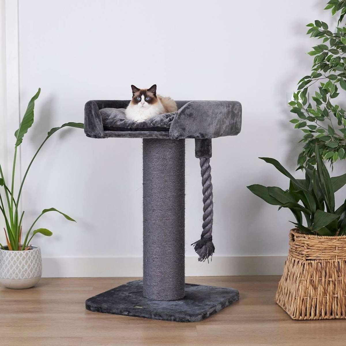 Kazoo High Bed Cat Scratch Post Charcoal Plush Woolworths