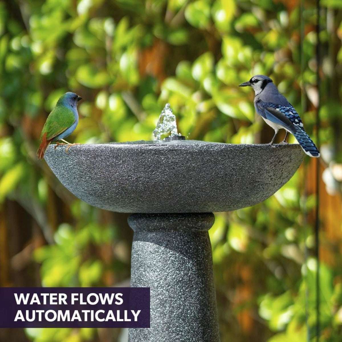 Protege Bird Bath Solar Water Feature Fountain Contemporary Birdbath ...