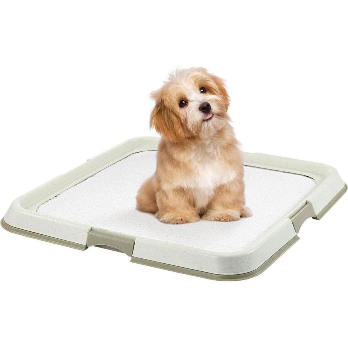 PAWISE Pet Dog Pee Pad Holder Indoor Puppy Potty Training Tray Portable