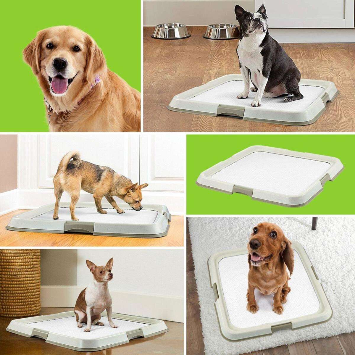 PAWISE Pet Dog Pee Pad Holder Indoor Puppy Potty Training Tray Portable