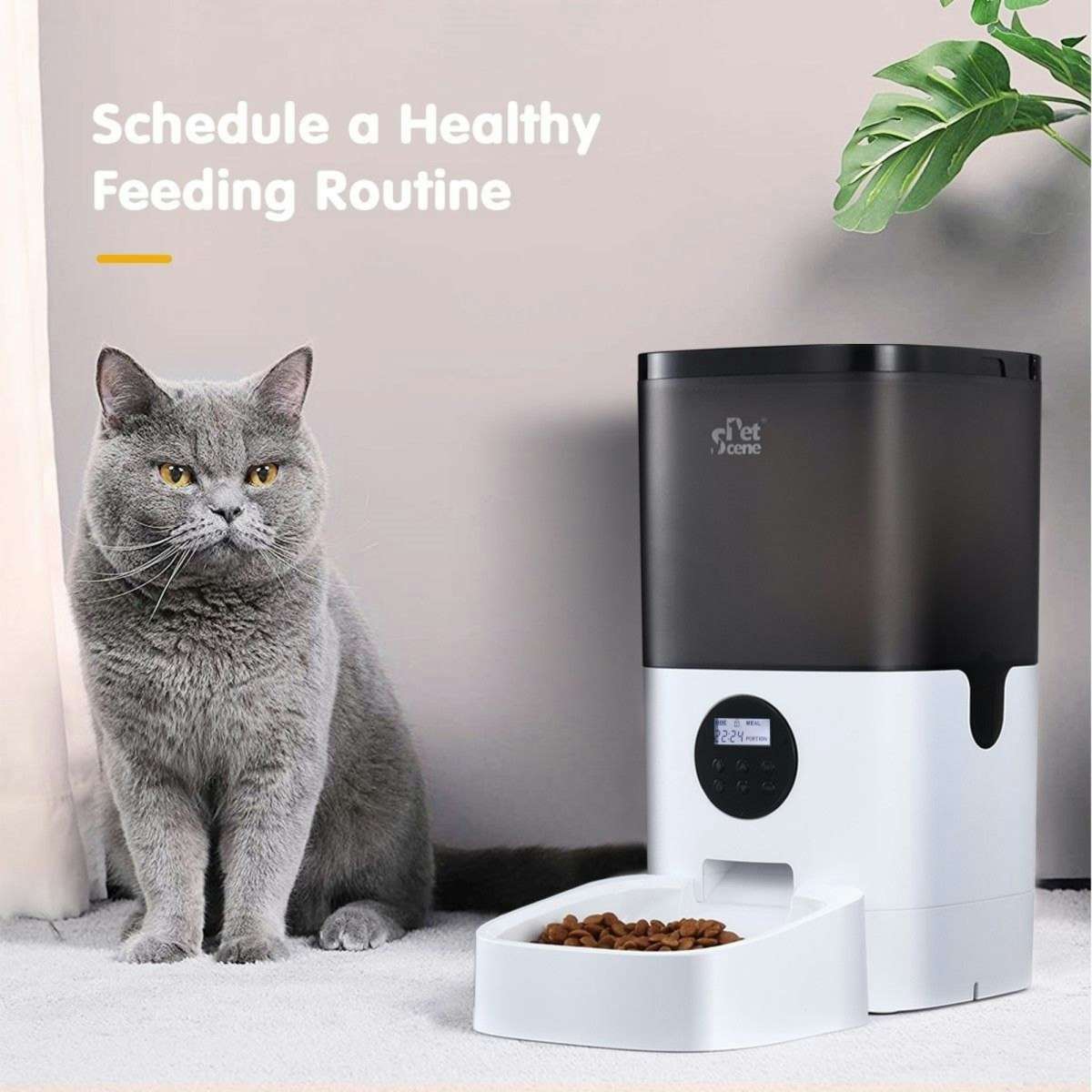 Pet Scene Petscene 6L Automatic Pet Feeder Dog Cat Feeder Food