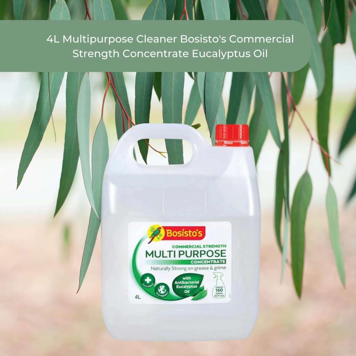 Bosisto's 4L Multipurpose Cleaner Bosisto's Commercial Strength Concentrate Eucalyptus Oil