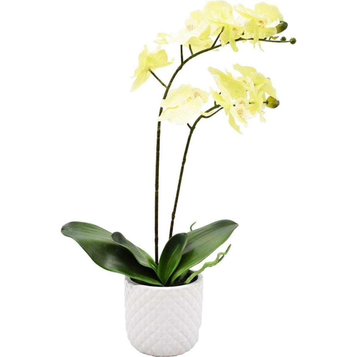 Urban Potted Artificial Orchid Flower Plant - Cream 51cm | Woolworths