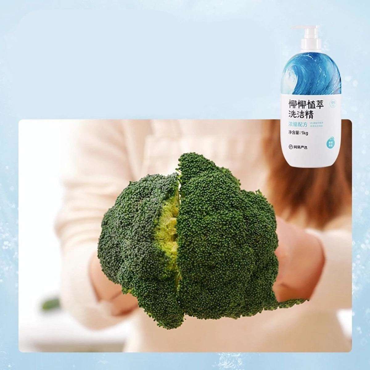 Lifease Kitchen Dishwashing Liquid Dish Soap Sea Salt Scent 1kg X 2Pack