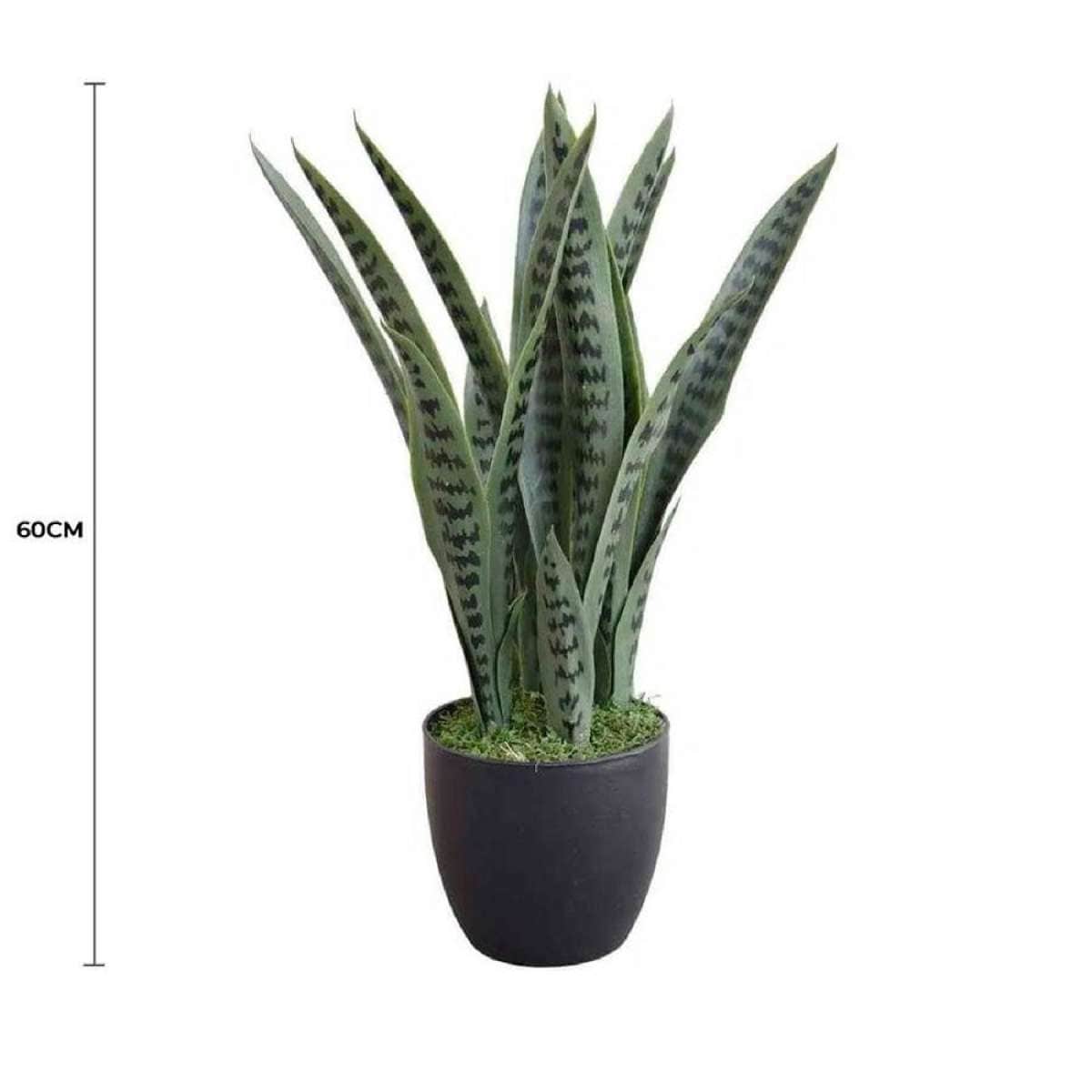 Artificial Snake Plant Sansevieria UV Resistant 60cm | Woolworths