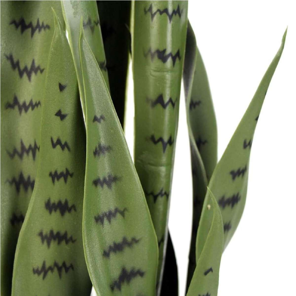 Artificial Snake Plant Sansevieria UV Resistant 85cm | Woolworths