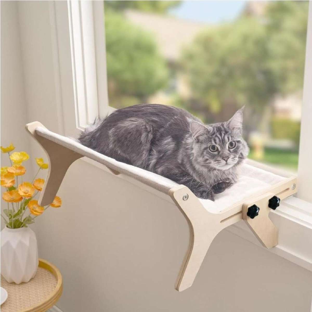 Aazon.co : Cat Window Perch - Cat Haock For Window - Solid Wood