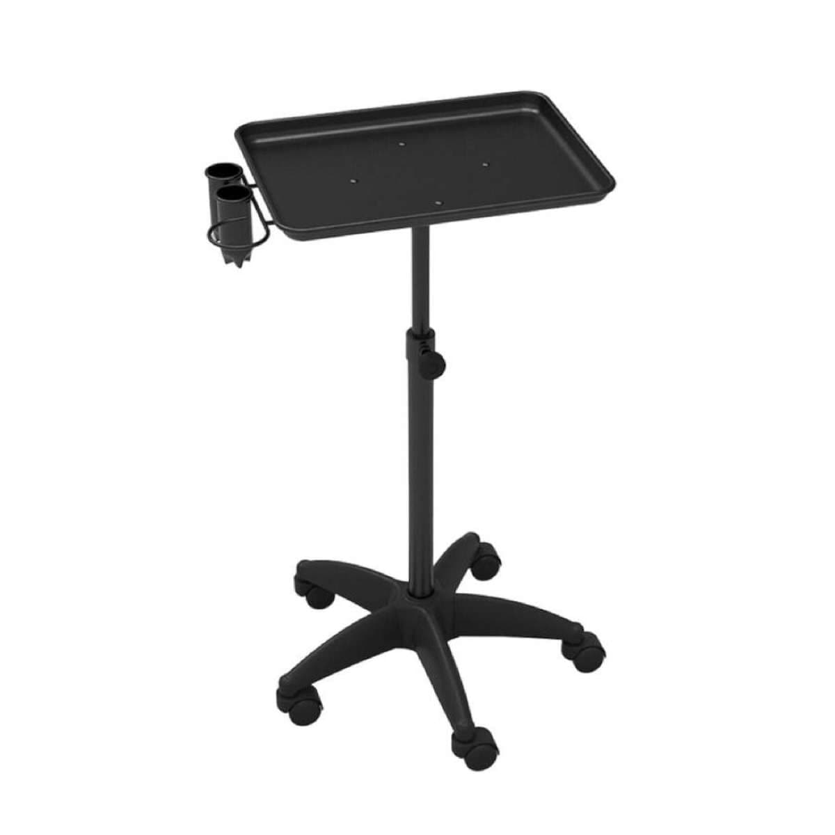Salon Trolley Cart Hairdressing Hair Colouring Extension Tray Storage Spa Beauty Tattoo Tool Stand on Wheels Rolling Organiser Adjustable Equipment