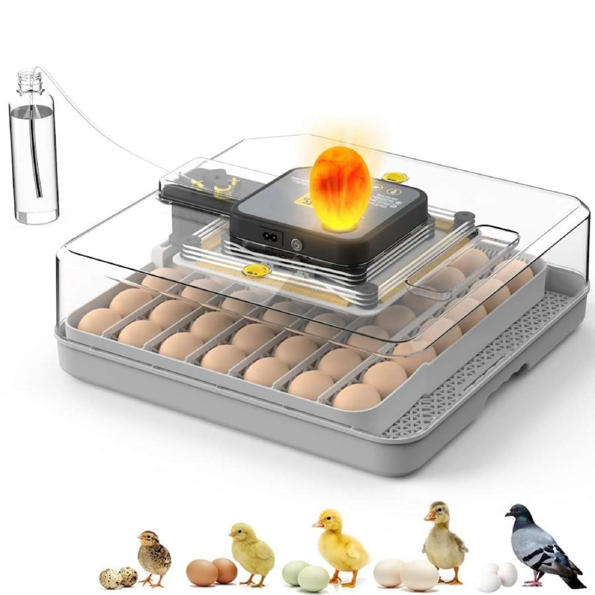 Advwin 48 Egg Incubator
