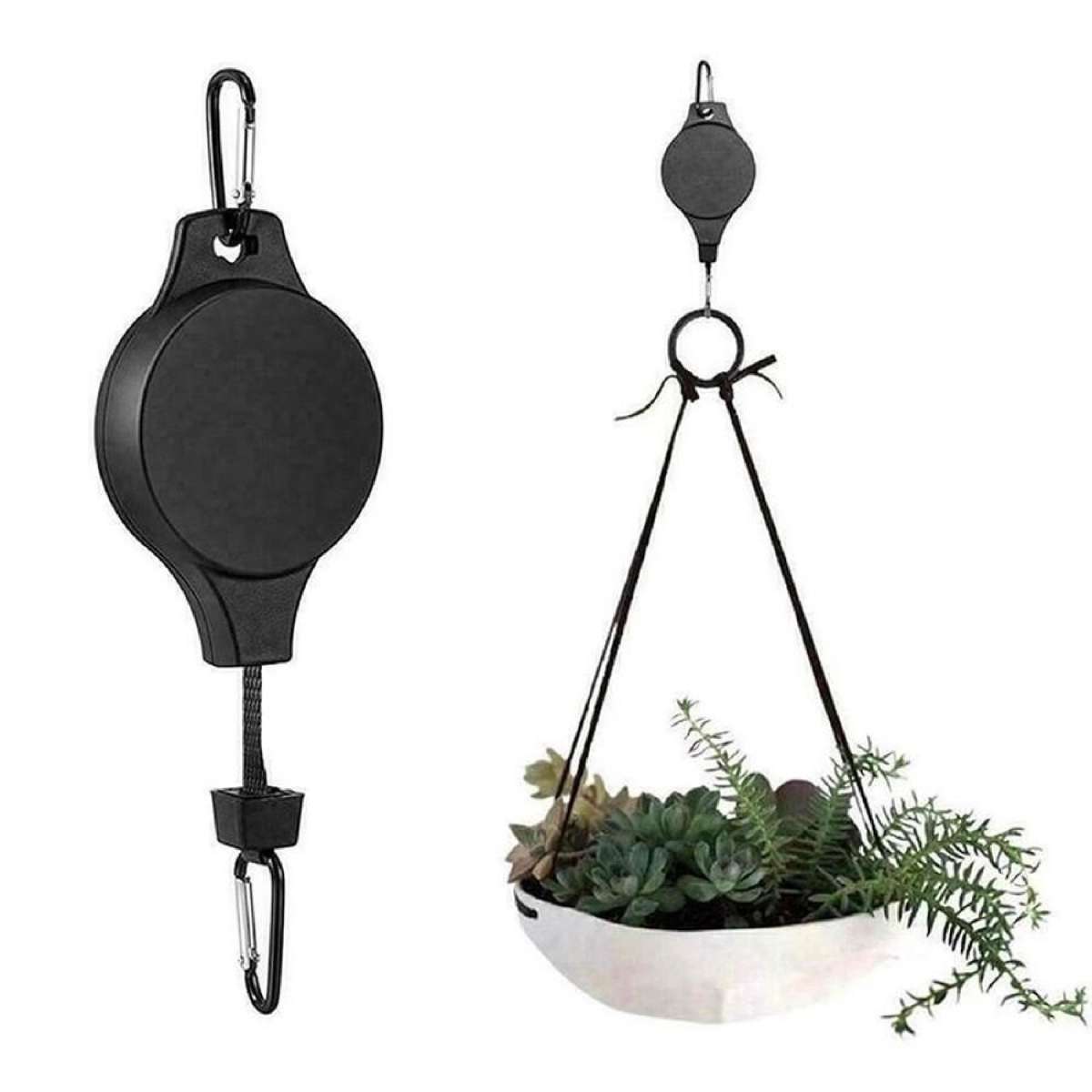 indoor pot plant pots Essential Houseplant 4-pack: Popular Air Purifying Live Plants - (4.25   Altman Plants