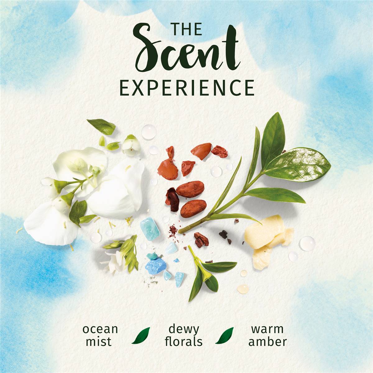 Herbal Essences Sulfate Free Birch Bark Extract Shampoo 360ml Woolworths