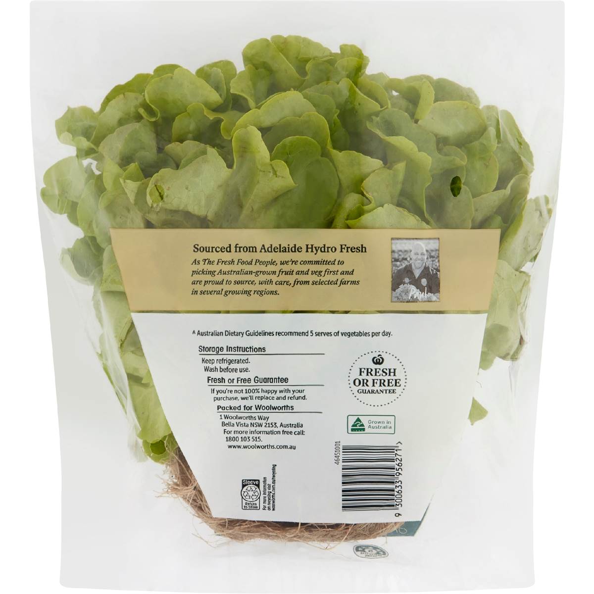 Lettuce Oakleaf Green each Woolworths