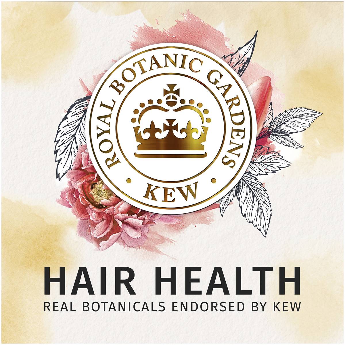 Herbal Essences Sulfate Free Honey & Vitamin B Shampoo 360ml | Woolworths