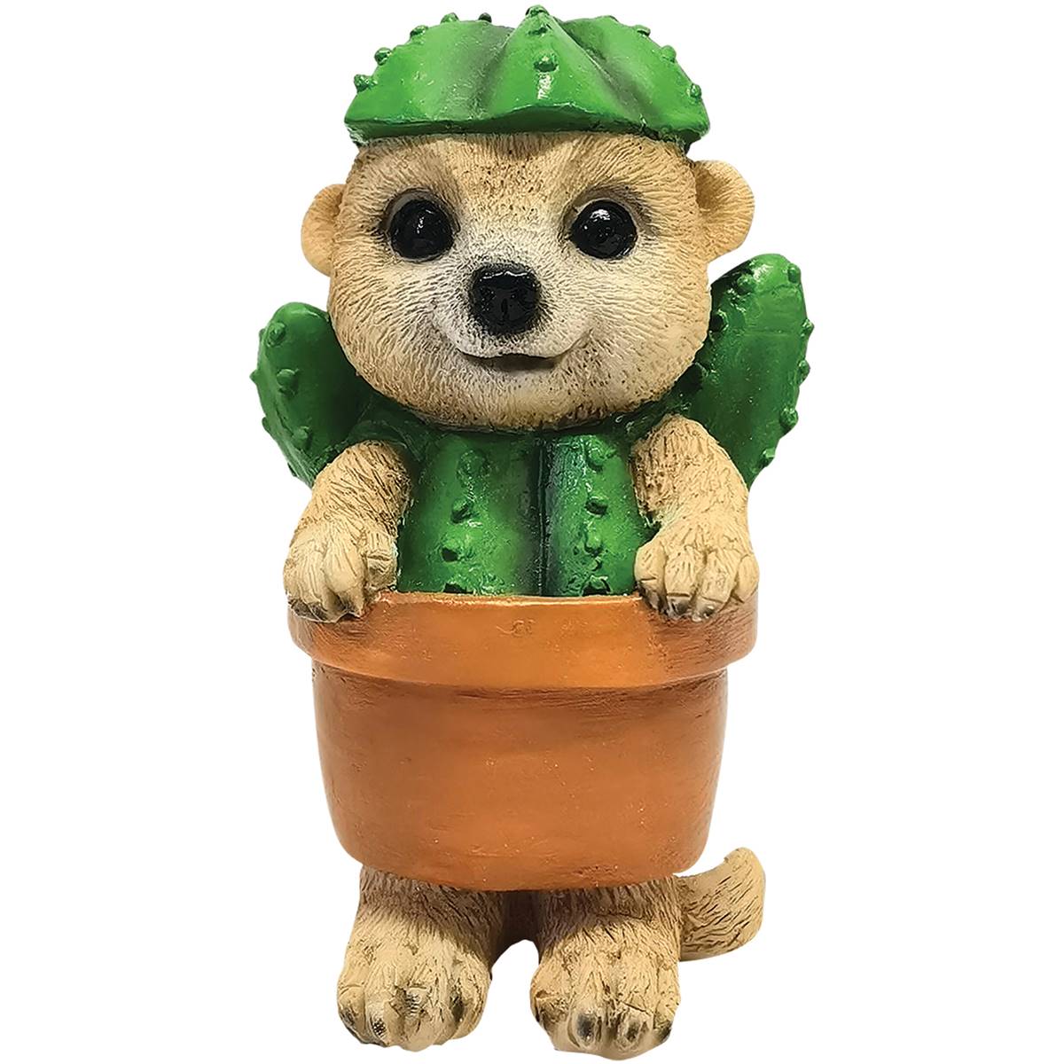 Mirabella Violet The Mini Meerkat Cactus Meerkat Cactus