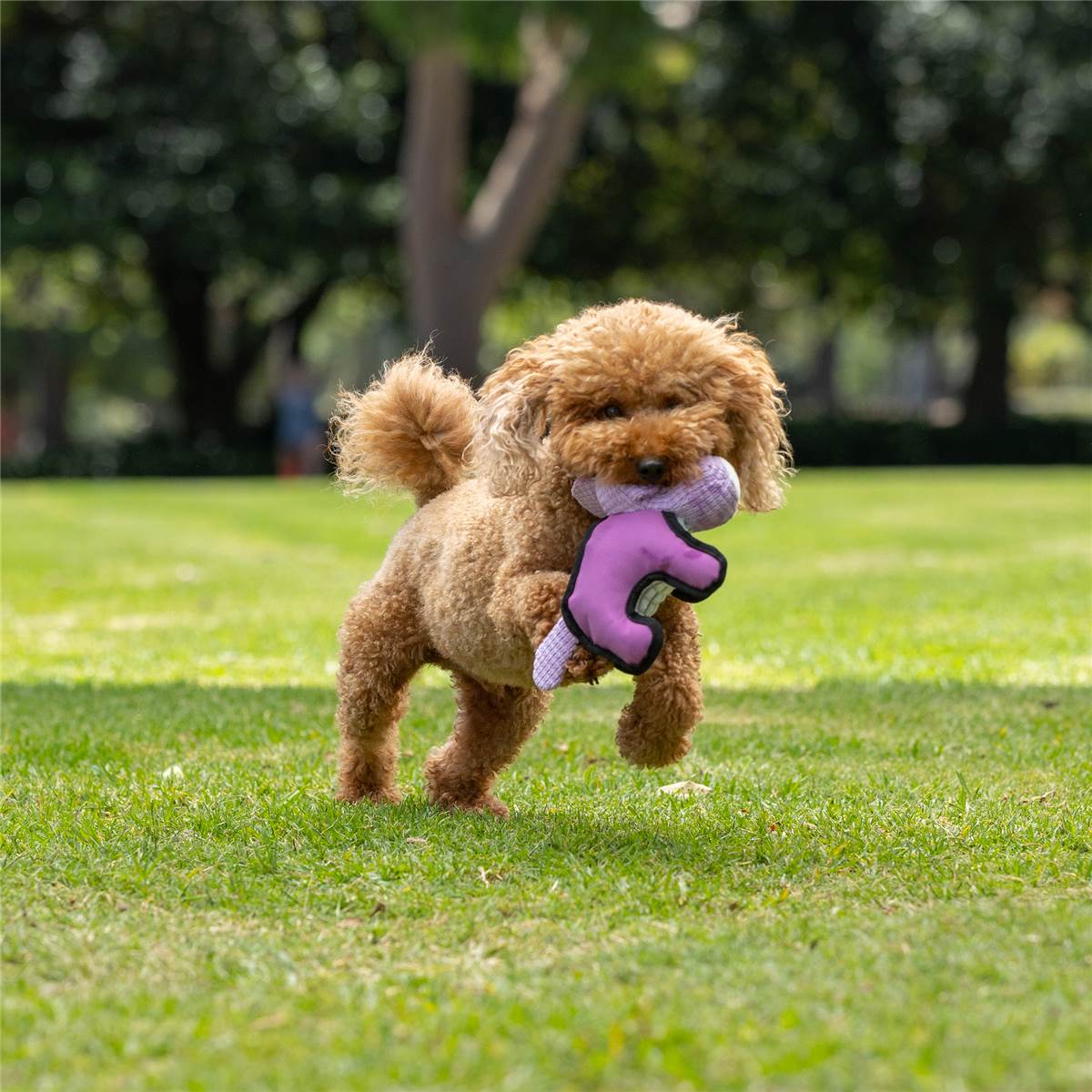 Total Care Cuddlechews Dog Toy Assorted Each | Woolworths